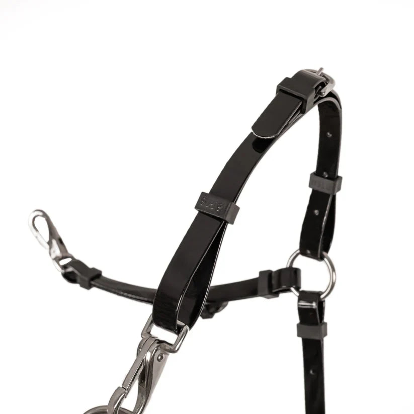 Breastplates And Martingales
