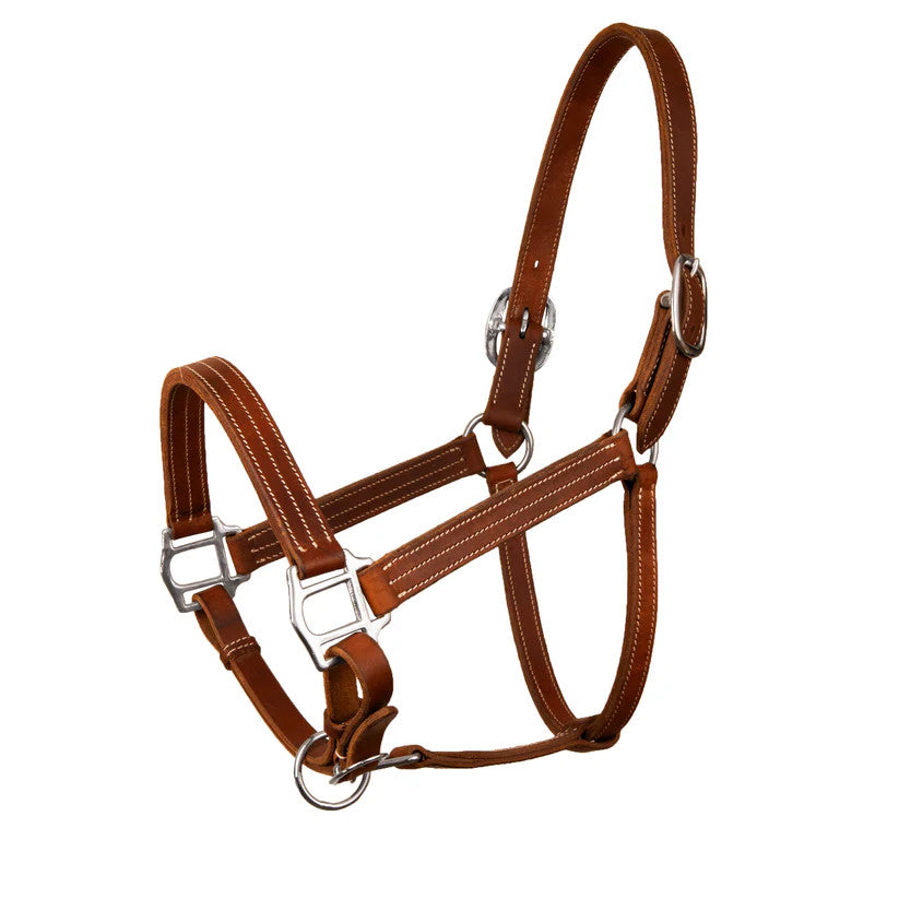 Syd Hill Cooroy Leather Track Western Halter