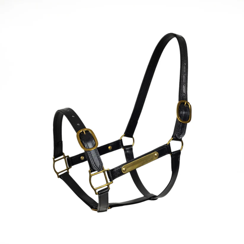 Syd Hill PVC Halter with Brass Nameplate