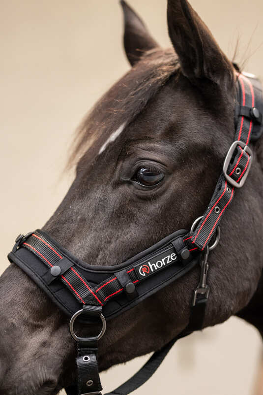 Horze Cairo Infra-Red Halter