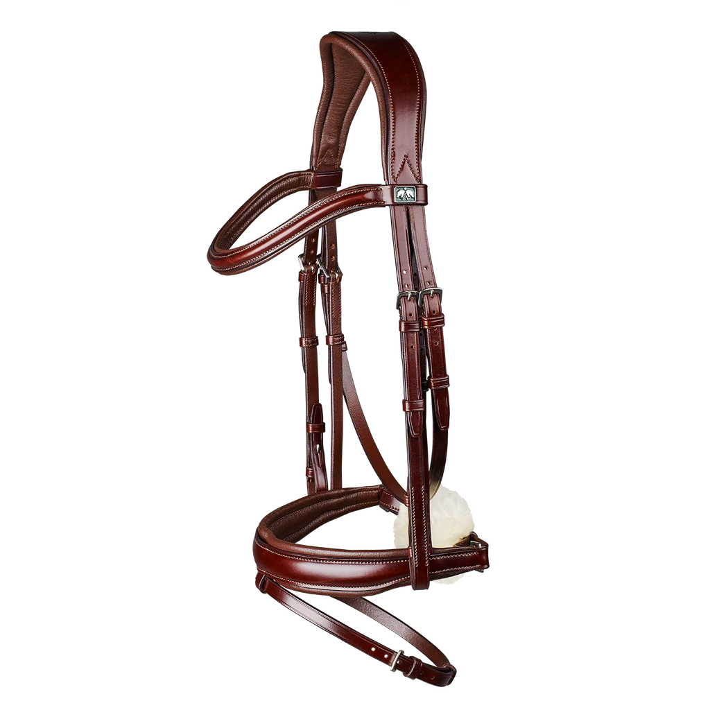 Arena Dressage Bridle