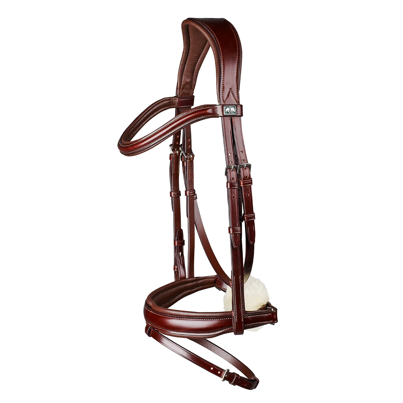 Arena Dressage Bridle