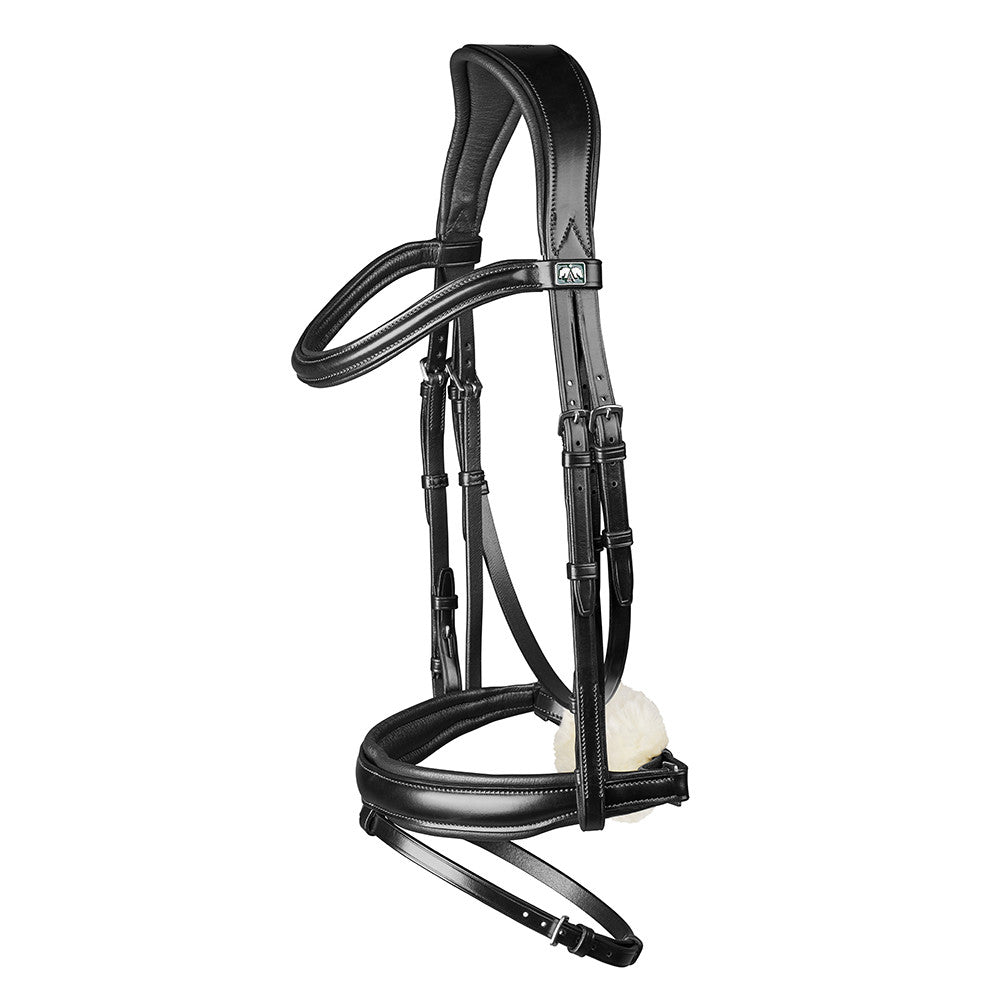 Arena Dressage Bridle black