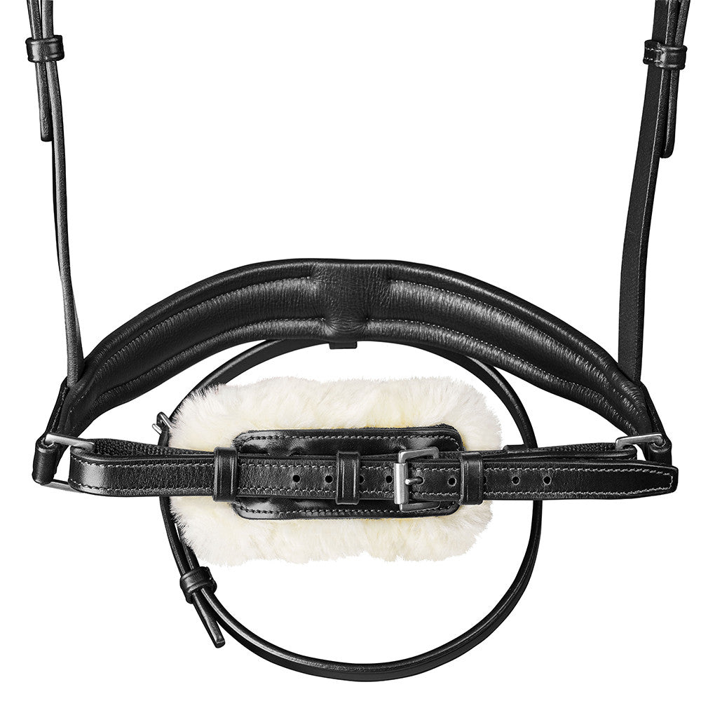 Arena Dressage Bridle noseband