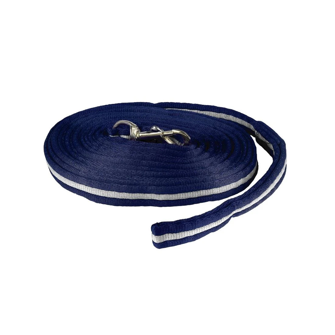 Orbit Lunging Lead