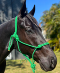 Knotted Rope Halter