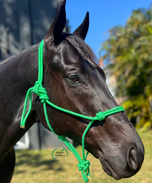 Knotted Rope Halter