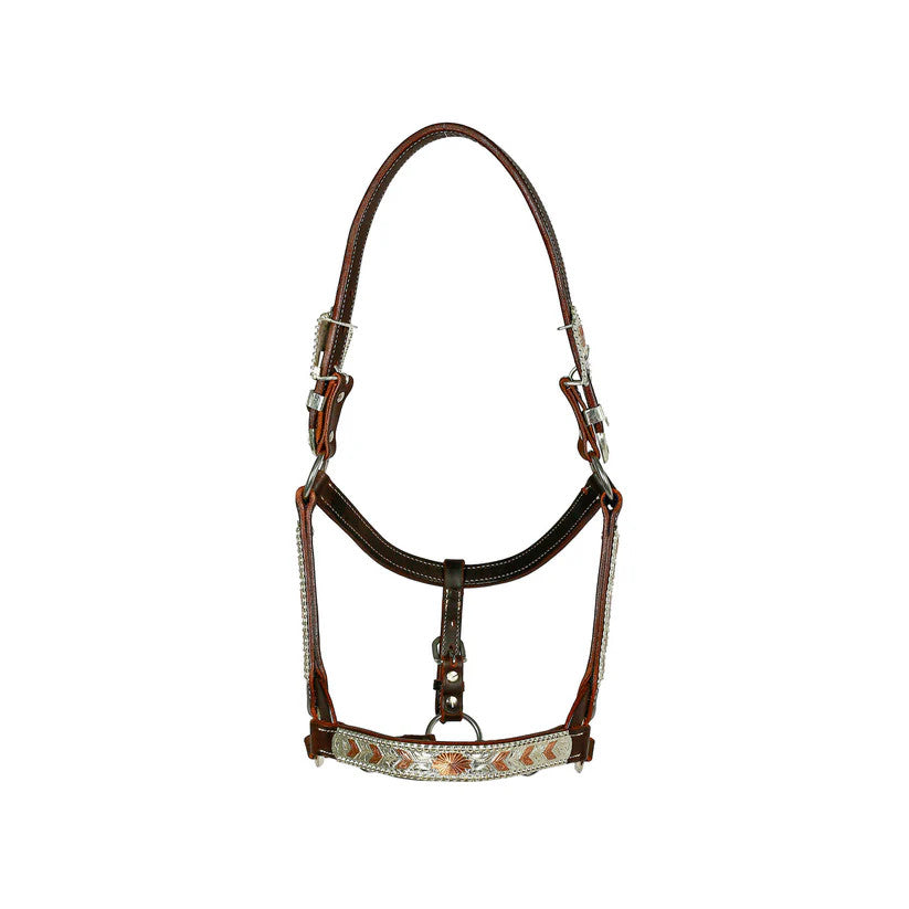 Syd Hill Bowen Show Western Halter