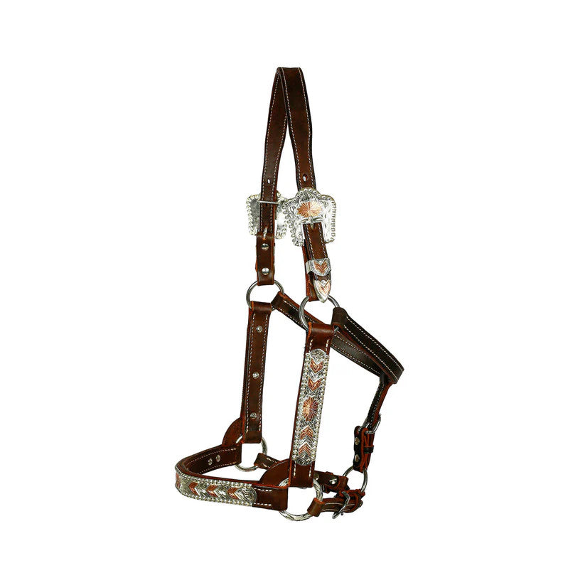 Syd Hill Bowen Show Western Halter
