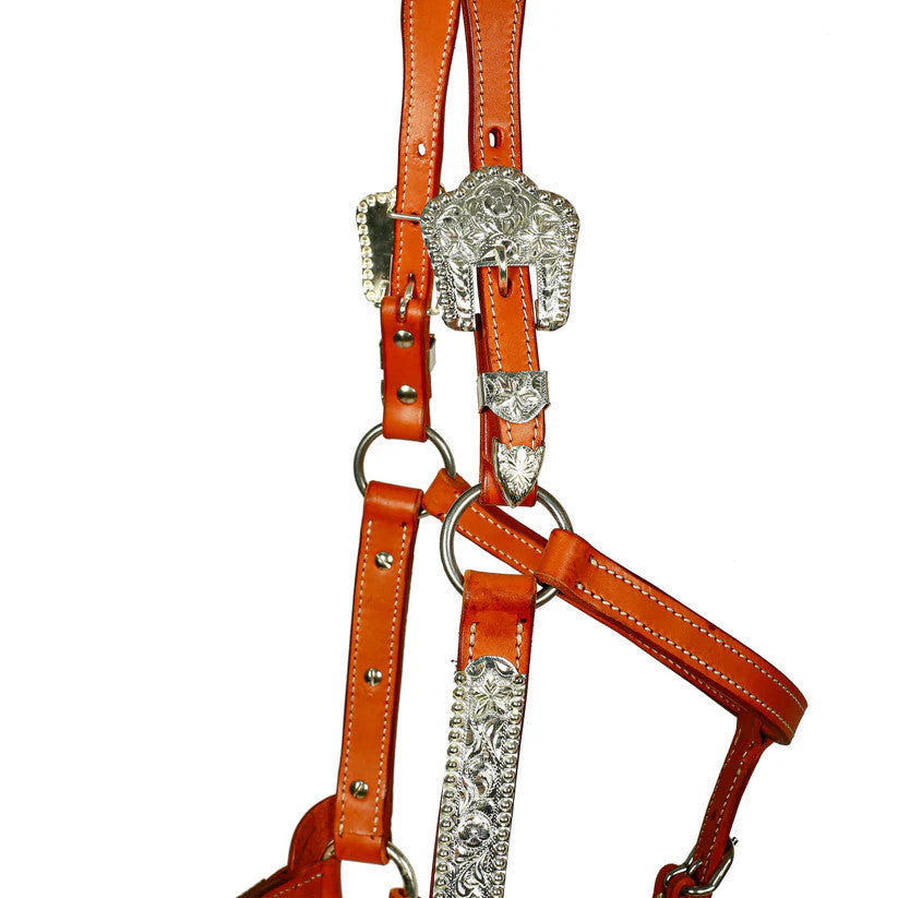 Syd Hill Lyell Show Western Halter