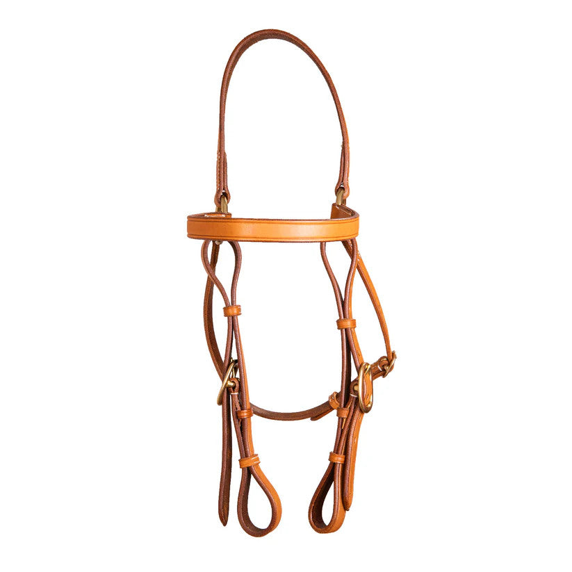 Syd Hill Barcoo Bridle Head Chestnut