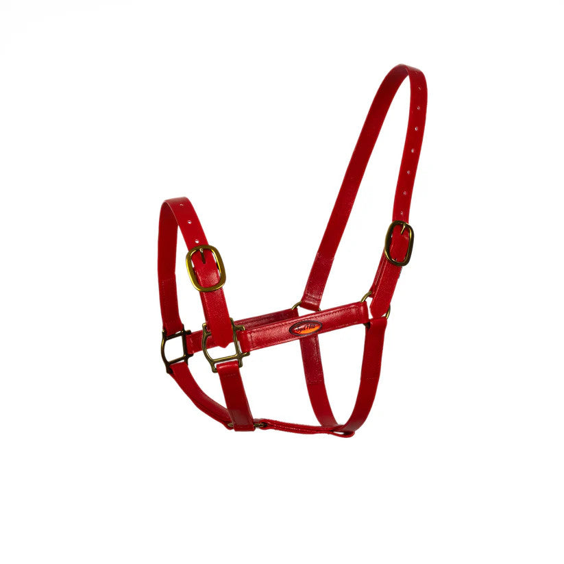 Syd Hill PVC Halter red