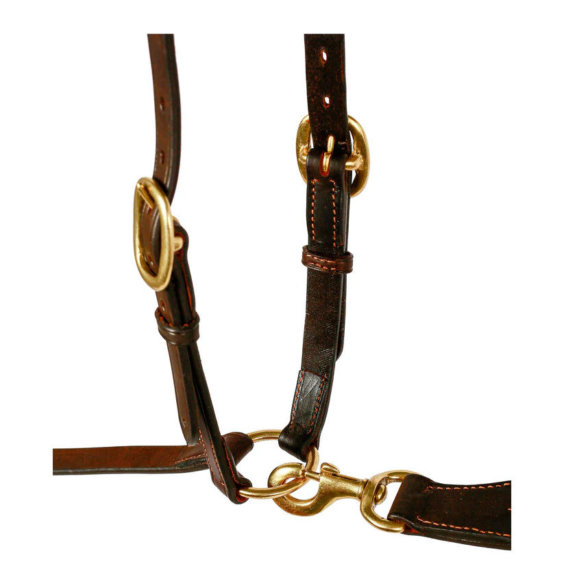 Syd Hill Stockman Breastplate with Rings & Headcheck brown
