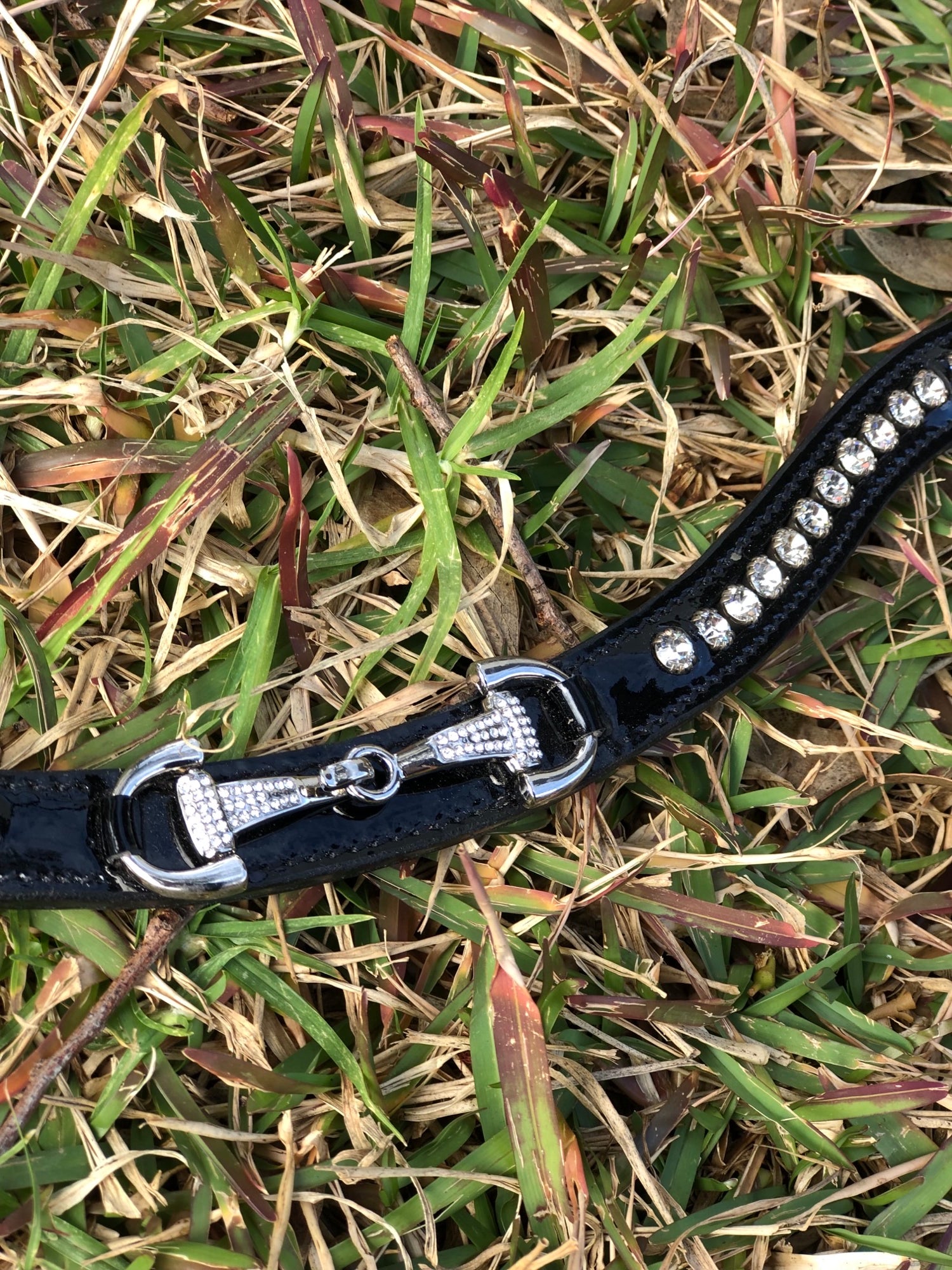 Patent Wave Crystal Bit Browband