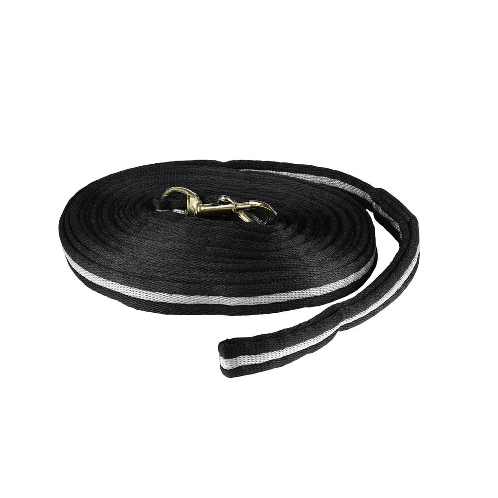 Orbit Lunging Lead