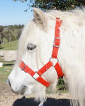 Shetland Halter
