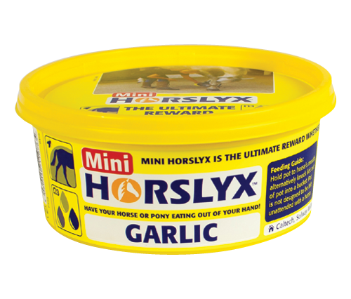 Horslyx Mini Vitamin and Mineral Lick 650g