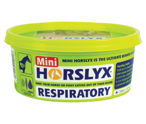 Horslyx Mini Vitamin and Mineral Lick 650g