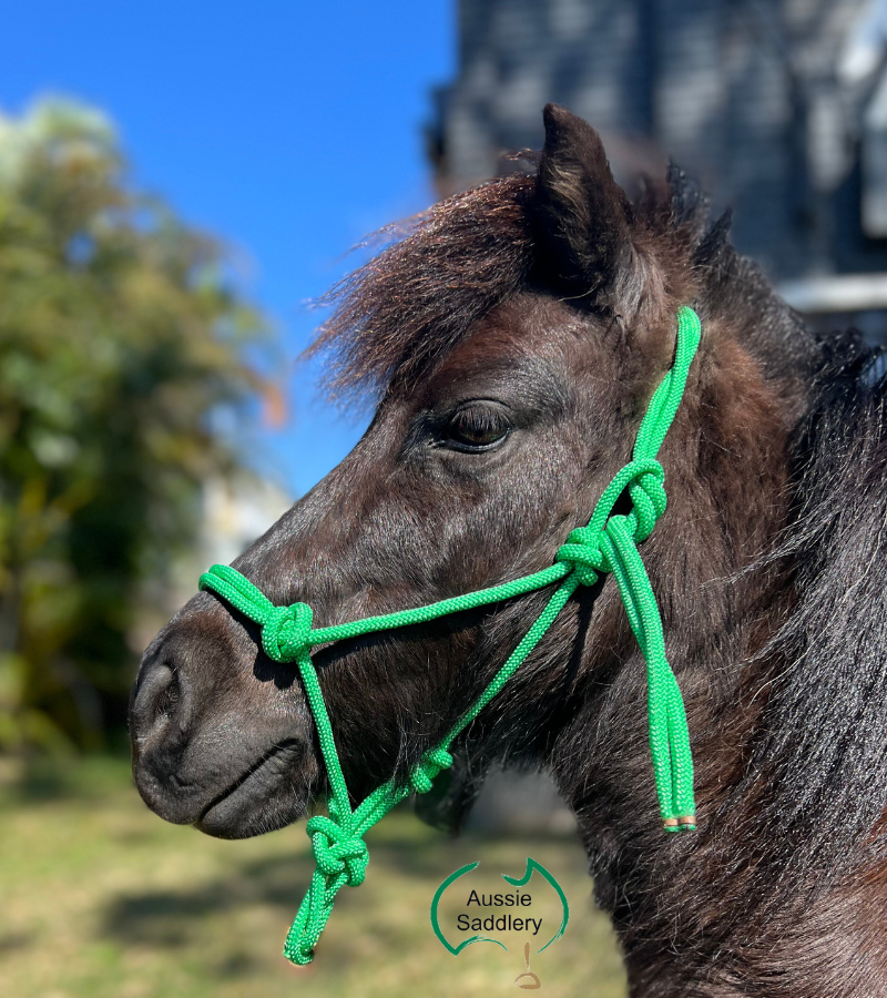 Miniature Horse Rope Halter