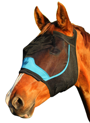 Woof Wear Flymash