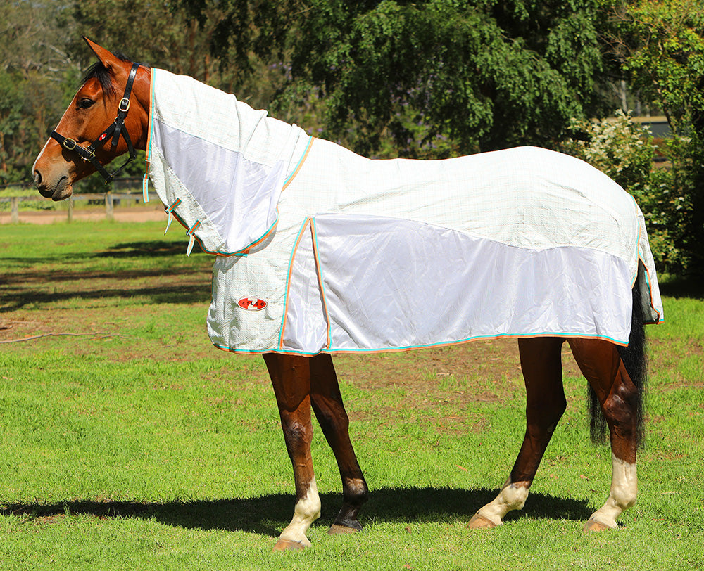 Econo Hybrid Combo Horse Rug